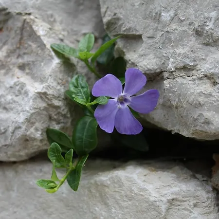 Casa de hóspedes Wendelstein 3*