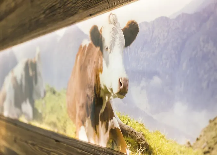 Wendelstein Πανσιόν Miesbach